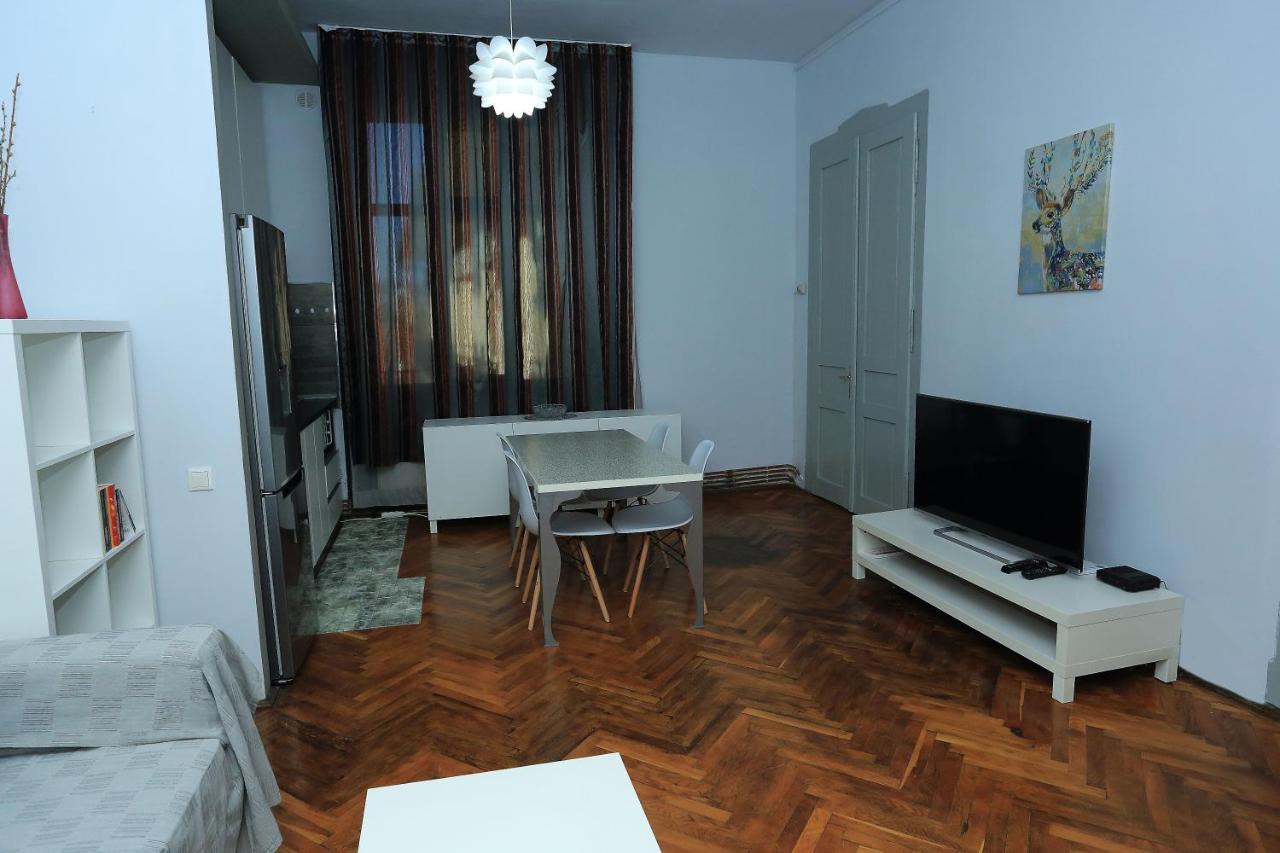 Napoca Central Apartment Клуж-Напока Экстерьер фото